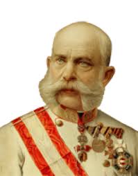 Karl as heir to the throne and monarch