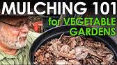 Gumbo, dirt, and sand are not growing mediums until they are prepared. Garden Soil Minerals 101 Black Gumbo Youtube