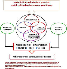 If you are a moderator please see our troubleshooting guide. Atherogenic Dyslipidemia In Latin America Prevalence Causes And Treatment International Journal Of Cardiology