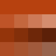Rust Hue Tints Shades Tones Hue Pure Color With Tints Hue White Shades Hue Black And Tone Rust Color Paint Rust Color Schemes Color Pallets