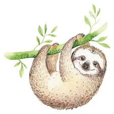 Cute Sloth Don T Give Up Quote Poster Zazzle Com In 2021 Sloth Drawing Sloth Cute Animal Quotes