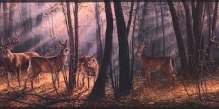 Woodland Splendor Wallpaper Border Lake Forest Wallpaper Woodland