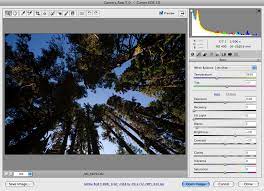 Review: Adobe Photoshop Cs4 | Creativepro Network