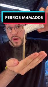 Buena dieta y aminoácidos para tu perro feliz