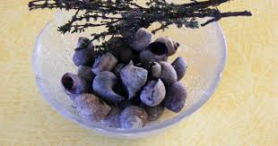 Bigorneaux La Cuissson Parfaite Recette Bigorneaux Cuisson Bigorneaux Recette