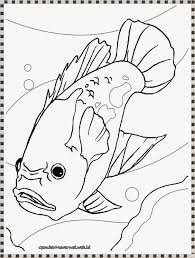 We did not find results for: Gambar Mewarnai Ikan Oscar Di Akuarium Gambar Warna Dan Pelangi