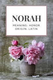 Baby Girl Name Norah Meaning Honor Origin Latin Girl Names Baby Girl Names Names With Meaning