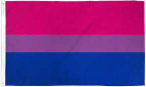Flags that help different members of the lgbtq bisexual pride flag. Bi Pride Fetish Flags