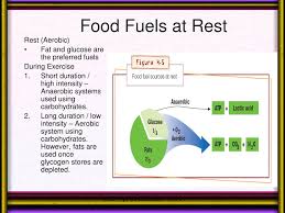 The food fuel source carbohydrate is broken down by the body to form glucose. Ppt Chapter 4 Powerpoint Presentation Free Download Id 1773817