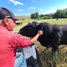 Profile for Snow Country Services