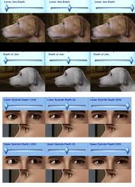 Sims 4 hair mod … Req Eyelids And Jaws Sliders By Oneeuromutt Sims 3 Downloads Cc Caboodle Sims Sims 3 Sims 4 Pets