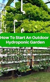Outdoor Hydroponics How To Start An Outdoor Hydroponic Garden Hydroponic Gardening Backyard Aquaponics Aquaponics