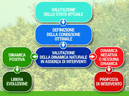 Resilienza a italian (wd) di ha spiegato: Procedimento Di Valutazione Di Ciascun Indicatore E Definizione Delle Download Scientific Diagram