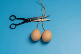 Image result for Vasectomy