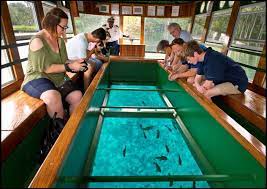 How to get tosilver springs state park. Silver Springs State Park Ocala Marion County Florida
