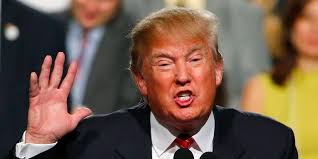 Donald Trump Favorability Ratings Climb