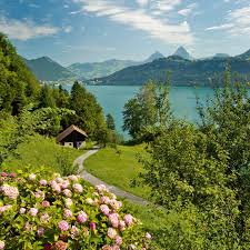 Switzerland Seyahat Tutkusu Manzara Resimler