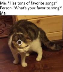 Pin By Waffle Iron 123 On Memes Animal Memes Funny Animal Memes Funny Memes