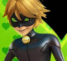 Aawww Cat Noir Miraculous Ladybug Memes Miraculous Ladybug Cat Noir And Ladybug