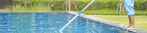 La Federation Des Professionnels De La Piscine Et Du Spa Fpp