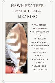 Hawk Feather Symbolism Meaning Feather Symbolism Hawk Feathers Brown Feather Meaning