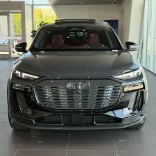Image result for Florett Silver 2024 RS6