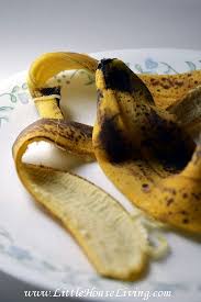 Ways To Use Banana Peels Banana Peel Uses Banana Peel Backyard Vegetable Gardens
