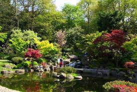 Antony Peyton Archive Kyoto Garden In Holland Park Kyoto Garden Holland Park London Places