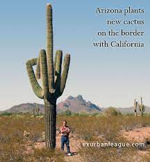 We did not find results for: Crazy Cactus Corvetteforum Chevrolet Corvette Forum Discussion