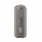 Rheem Gallon Professional Commercial Gas 60BTU