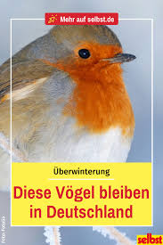 Uberwintern Im Garten Selbst De Garten Uberwintern Haus Und Garten