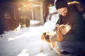 Maybe you would like to learn more about one of these? Going Out Of Town Check Your Pet Emergency Plan Pet Emergency Animal Hospital Animals
