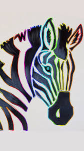 Cool Rainbow Zebra Rainbow Zebra Zebra Moose Art