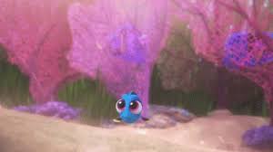 Check spelling or type a new query. Baby Dory Swimming Gif Dory Findingdory Babydory Discover Share Gifs