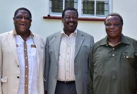59 musalia mudavadi premium high res photos. Mudavadi Atwoli Meet In Busia Over 2022 Politics And Bbi