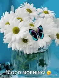 Flower good morning photo picture pics for best friend. White Flowers Butterfly Gif Whiteflowers Butterfly Goodmorning Discover Share Gifs