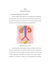 Definisi sistem perkemihan sistem perkemihan merupakan suatu sistem organ ureter merupakan dua saluran yang berfungsi membawa urine dari ginjal ke kandung kemih. Striktur Uretra