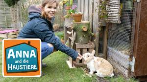 Am besten setzt ihr die tiere nach draußen, wenn die nächte frostfrei bleiben. Zwergkaninchen Information Fur Kinder Anna Und Die Haustiere Youtube