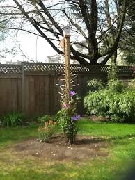 When planting clematis, you should be extremely careful and gentle with its roots as they are very fragile. How Can I Give Clematis A Boost To Grow And Flower Fast Hometalk