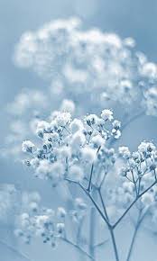 62 Ideas Flowers Aesthetic Pastel Blue Blue Aesthetic Pastel Light Blue Aesthetic Blue Aesthetic