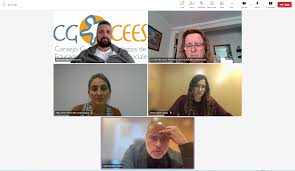 El CGCEES se reúne con Jordi Salvador, Portavoz de la Comisión de Derechos  Sociales de ERC, para abordar la situación del sector de Educación Social