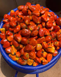 Akwu Ojukwu: The Powerful Igbo Knowledge Many People Still Don't Have || Nnewi City