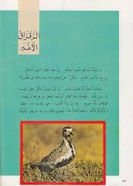 Pin By القراء On إصدارات دار ثقافة الأطفال العراقية Book Cover Books Cover