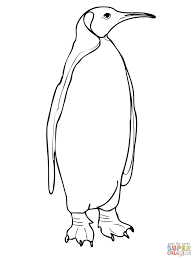 Image Result For Penguin From The Back Penguin Coloring Pages Penguin Coloring Bird Coloring Pages