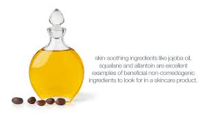 Guide To Healthy Skin Comedogenic Healthy Skin Skin