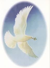 Remembering Paul King