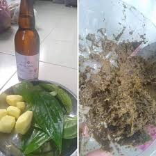 Bikin ayam tape arak manfaatnya sangat penting. Expert Healty Beauty Home Facebook