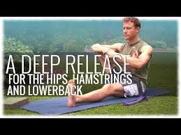 387 Hatha Yoga With David Procyshyn A Deep Release For The Hips Hamstrings And Lower Back Youtube Yoga With Adriene Gentle Yoga Class Gentle Yoga