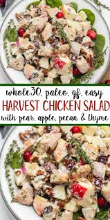I love eating this salad on. Whole30 Harvest Chicken Salad With Apple Pear Cranberry Pecans Paleo Gf Whole Kitchen Sink