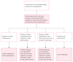 Cephalosporin Allergy Label Is Misleading Australian Prescriber